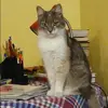 Отзыв от Анна Вдовина